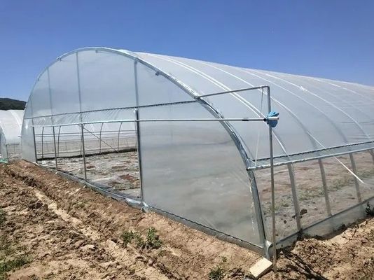Conception de serre de structure d'acier sur mesure en fonction des besoins du marché américain