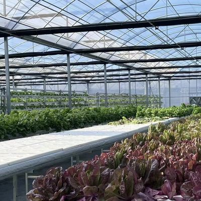 Serre commerciale avec paquet de terre de cocotiers Taille 50,00cm * 60,00cm * 50,00cm
