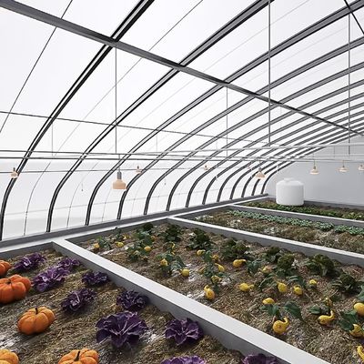 Système d'ombrage et de ventilation de la culture de tomates pour le transport de conteneurs 40HQ Reefer