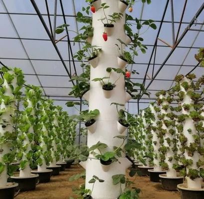 Serre à conteneur verticale pour l'agriculture dans 40HQ Reefer avec conteneur hydroponique