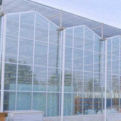 Méthode de culture hydroponique Agriculture Serre en verre pour tomates et fruits tempérée
