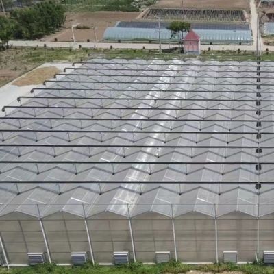 JX-A006 Serre en polycarbonate de grande taille pour le commerce et l'agriculture