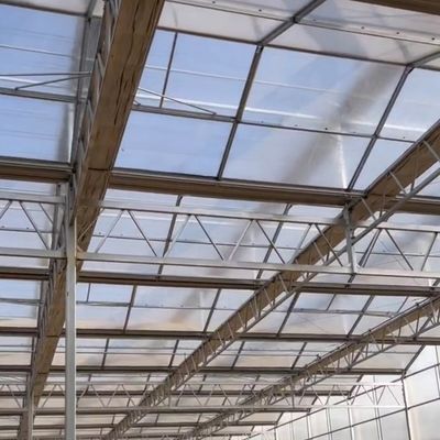 JX-A006 Serre en polycarbonate de grande taille pour le commerce et l'agriculture
