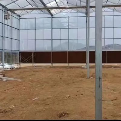 JX-A006 Serre en polycarbonate de grande taille pour le commerce et l'agriculture