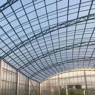 JX-A006 Serre en polycarbonate de grande taille pour le commerce et l'agriculture