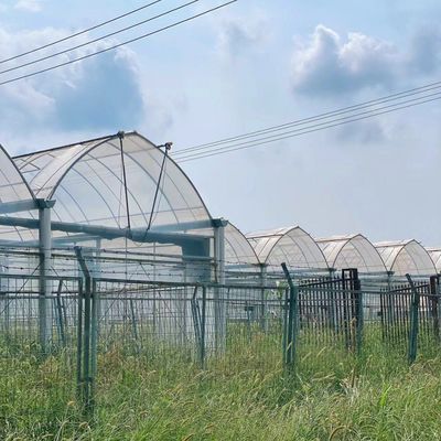 Serre à double arc à lumière solaire avec vibrateur à neige Durable et résistant aux intempéries