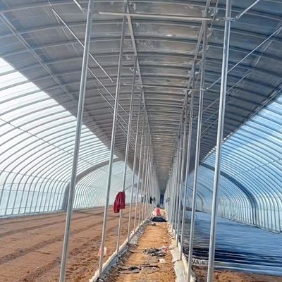 Serre commerciale à pellicule de tunnel à bande unique avec garantie de retour de 30 jours