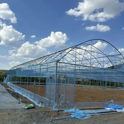 Serre agricole en plastique de type arc pour pommes de terre et concombres avec système de culture hydroponique