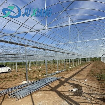 Serre agricole en plastique de type arc pour pommes de terre et concombres avec système de culture hydroponique