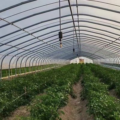 Polytunnel Tunnel en plastique Serre agricole à longue portée pour demande personnalisée