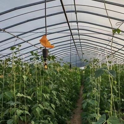 Polytunnel Tunnel en plastique Serre agricole à longue portée pour demande personnalisée