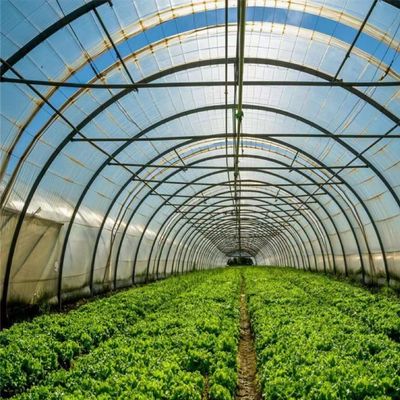 Polytunnel Tunnel en plastique Serre agricole à longue portée pour demande personnalisée