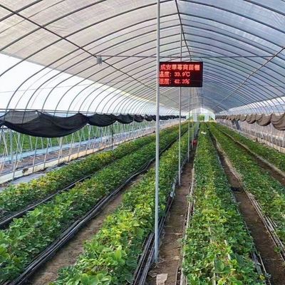 Polytunnel Tunnel en plastique Serre agricole à longue portée pour demande personnalisée