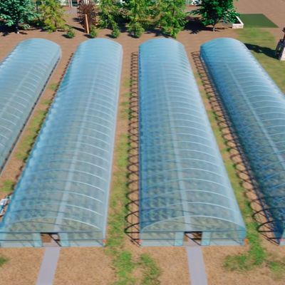 Polytunnel Tunnel en plastique Serre agricole à longue portée pour demande personnalisée