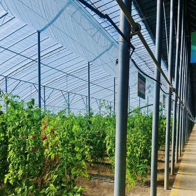 Système de serre écologique d'irrigation à goutte à goutte sur le coût d'expédition et le délai de livraison estimé
