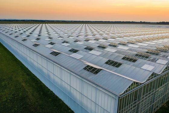 Coût d'expédition Film de tunnel en plastique à longue portée agricole Personnalisation de serre