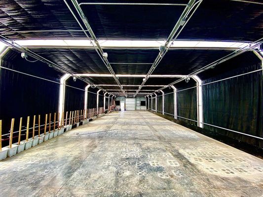 Coût d'expédition Film de tunnel en plastique à longue portée agricole Personnalisation de serre