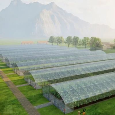 US 20/pièce Serre végétale avec film en plastique de tunnel agricole à bande unique
