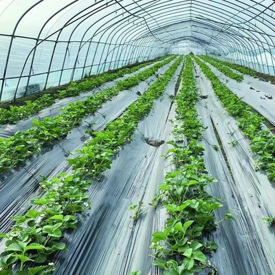 US 20/pièce Serre végétale avec film en plastique de tunnel agricole à bande unique