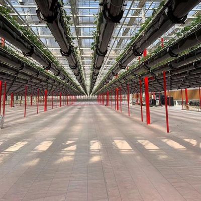 Des serres à pellicule de tunnel industriel multispan avec technologie et matériaux hydroponiques