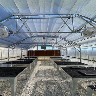Des serres à pellicule de tunnel industriel multispan avec technologie et matériaux hydroponiques