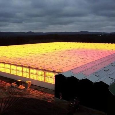 20GP 40GP 40HC Matériaux de construction en acier-plastique Serre pour plantes médicinales ou champignons