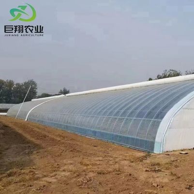 20GP 40GP 40HC Matériaux de construction en acier-plastique Serre pour plantes médicinales ou champignons