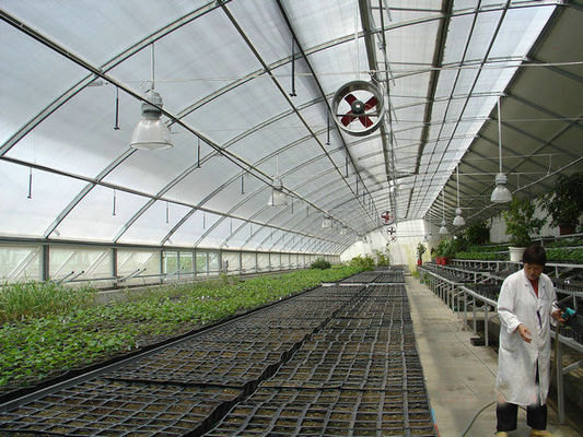 20.000kg de paquet Poids brut de la tomate à plusieurs étendues concombre fraise Serre de culture