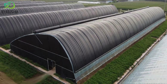 20.000kg de paquet Poids brut de la tomate à plusieurs étendues concombre fraise Serre de culture