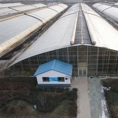 Serre à écran noir en tôle plastique pour la culture de semis et de plantes médicinales/champignons