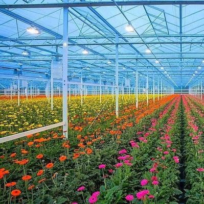 Serre à écran noir en tôle plastique pour la culture de semis et de plantes médicinales/champignons