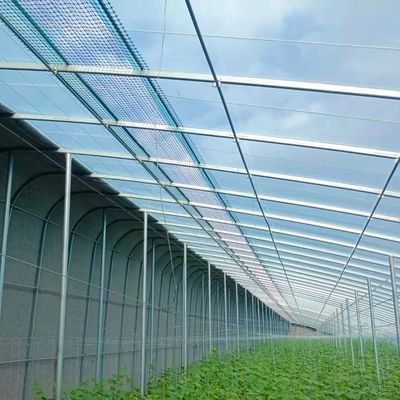 États-Unis Serres à pellicule plastique multifonctionnelles agricoles avec système hydroponique