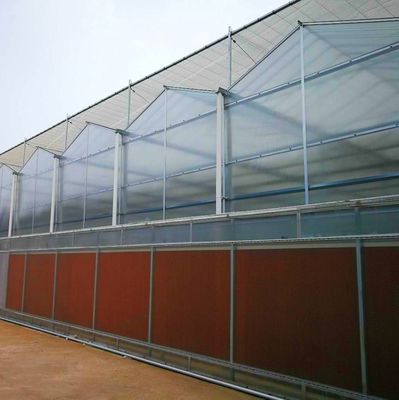 États-Unis Serres à pellicule plastique multifonctionnelles agricoles avec système hydroponique