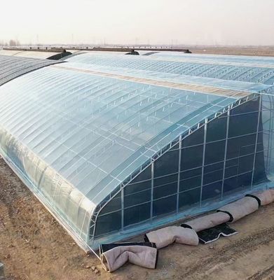 États-Unis Serres à pellicule plastique multifonctionnelles agricoles avec système hydroponique