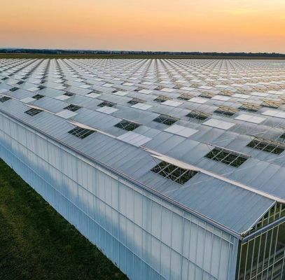 Transformez votre expérience agricole avec le système de culture hydroponique des concombres de tomates et des fraises
