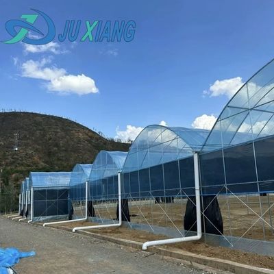 Transformez votre expérience agricole avec le système de culture hydroponique des concombres de tomates et des fraises