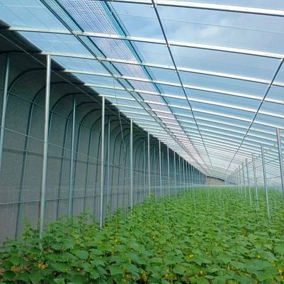 Transformez votre expérience agricole avec le système de culture hydroponique des concombres de tomates et des fraises