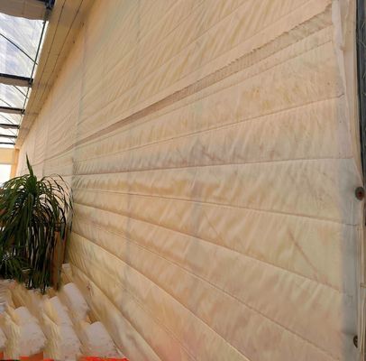 Transformez votre expérience agricole avec le système de culture hydroponique des concombres de tomates et des fraises
