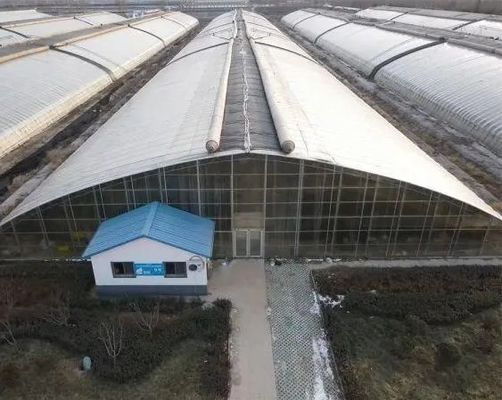 Transformez votre expérience agricole avec le système de culture hydroponique des concombres de tomates et des fraises