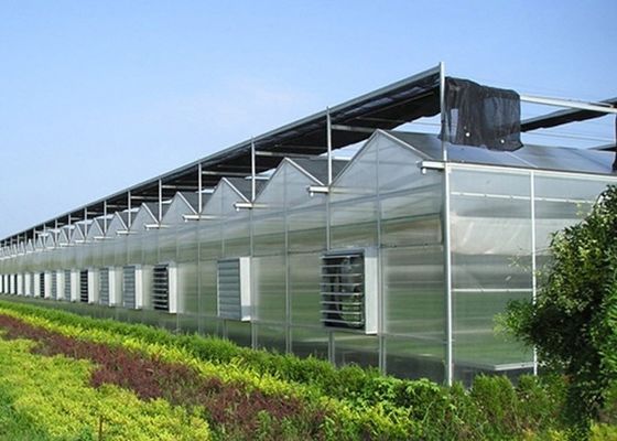Serre en verre Venlo multifonction avec système hydroponique Cocopeat et personnalisation
