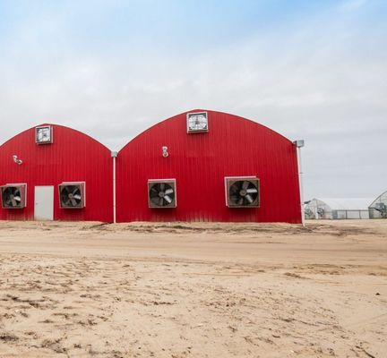 Serre à champignons pour la production et la culture de champignons à grande échelle