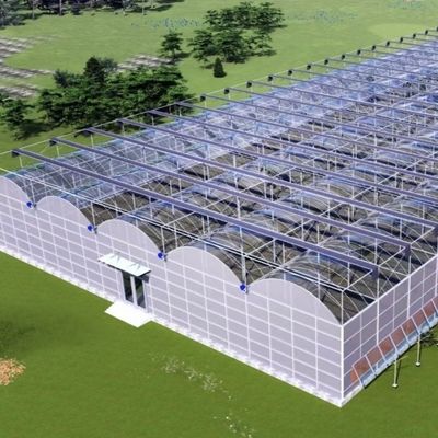 Serre de production de légumes en tunnel à plusieurs travées avec commande minimale de 1 mètre carré