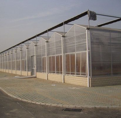 20GP 40GP 40HC Multi-Span PE Film plastique Serre pour l'agriculture pour une longue durée de vie