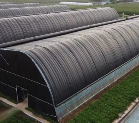 Système de culture hydroponique à tubes d'eau multifonctions pour une efficacité de l'aquaculture en serre