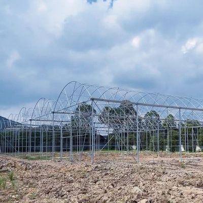 Système de culture hydroponique à tubes d'eau multifonctions pour une efficacité de l'aquaculture en serre