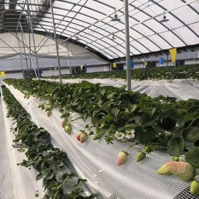 Remboursement de 30 jours Obtenez un remboursement pour notre kit de serre de tunnel agricole multi-span