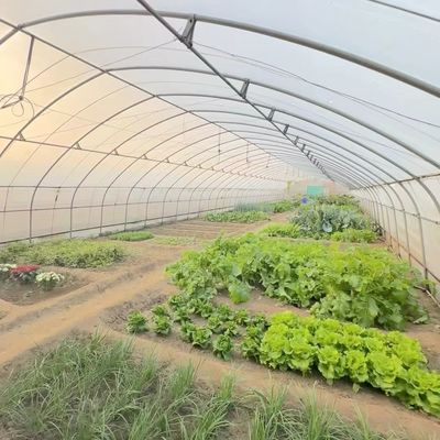 Remboursement de 30 jours Obtenez un remboursement pour notre kit de serre de tunnel agricole multi-span