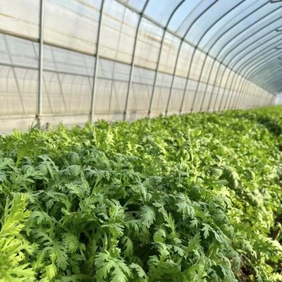Remboursement de 30 jours Obtenez un remboursement pour notre kit de serre de tunnel agricole multi-span