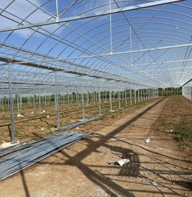 Grande aquaculture Tomate concombre Fraise Hydroponie Serre à haut rendement