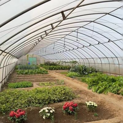 Serre tunnel pour les légumes et les tomates Paquet taille 50,00cm * 60,00cm * 50,00cm